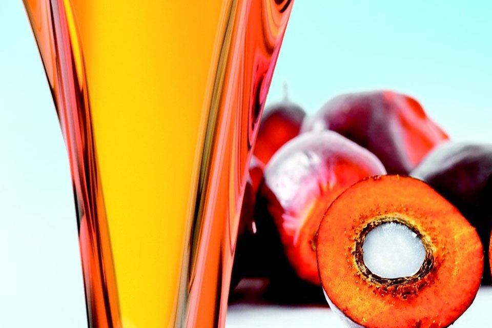 Crude Palm Oil Image